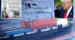 Iranâs Hormuz toll plan falters as Gulf nations side with US